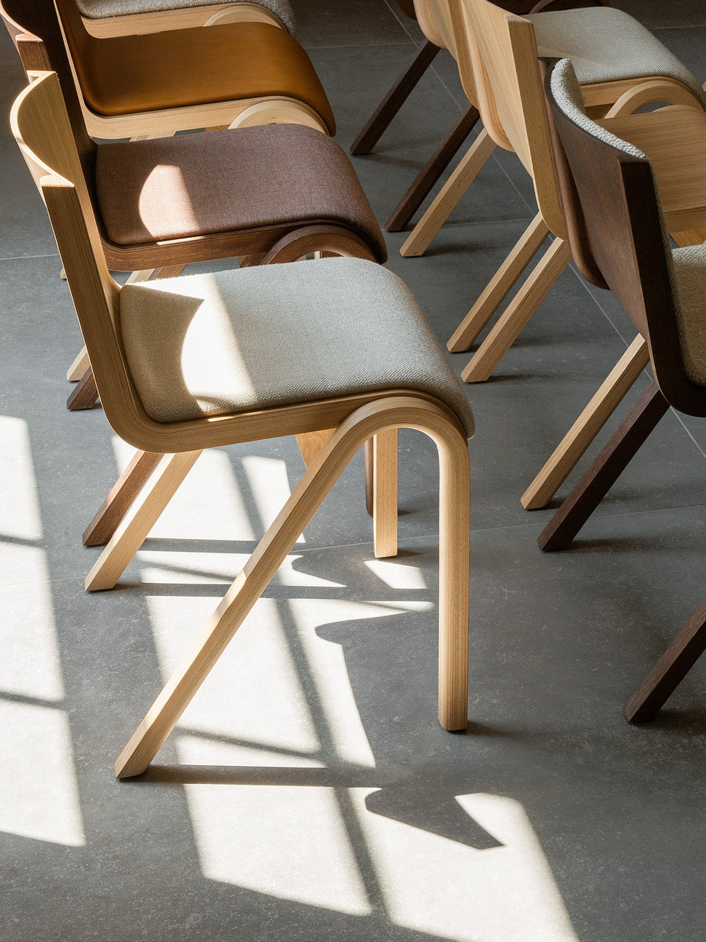 Chaise de salle à manger en placage de chêne scandinave avec assise rembourrée et design empilable en porte-à-faux pour salle à manger