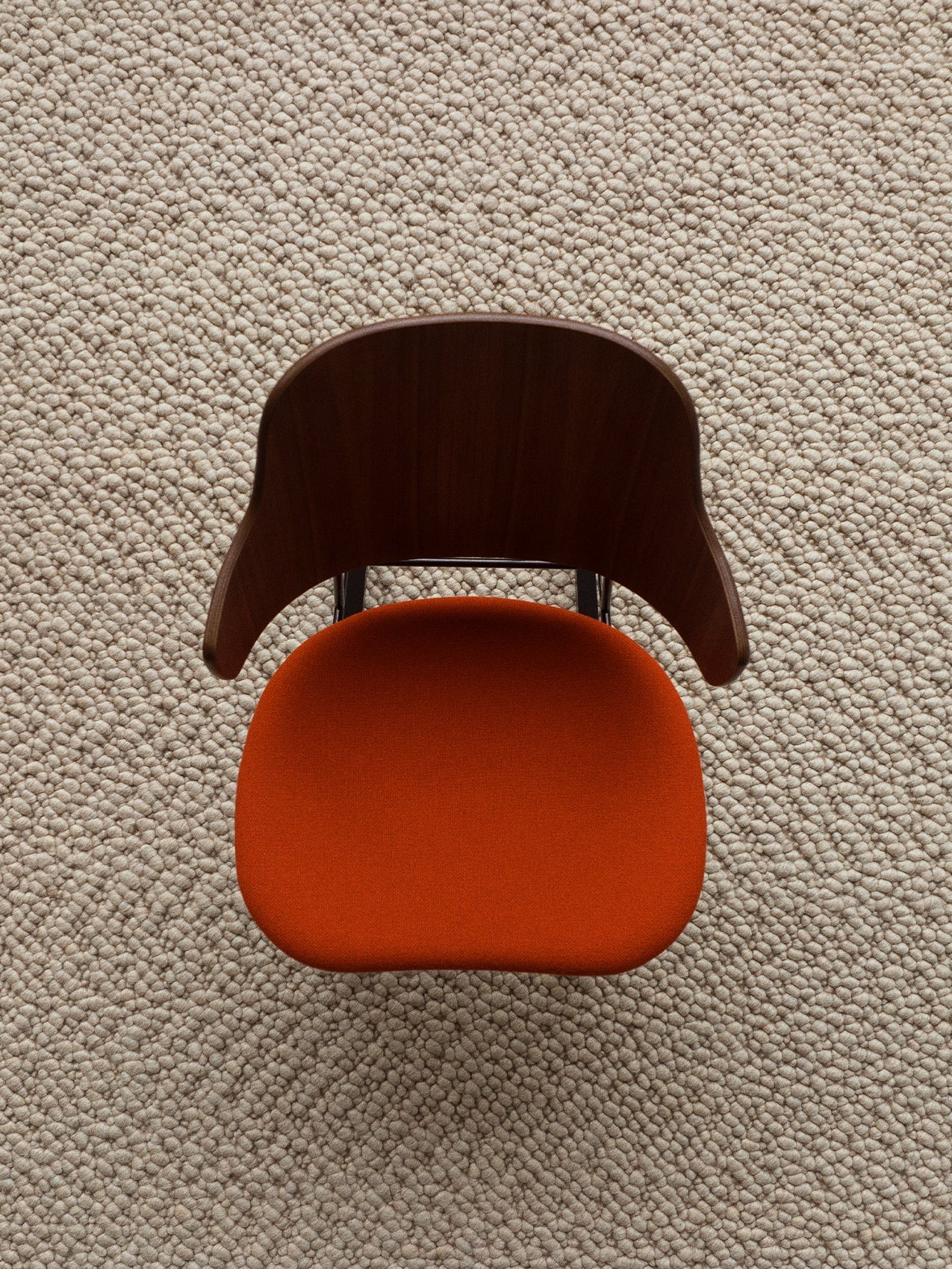 Chaise de salle à manger sculpturale avec coque organique pour la salle à manger